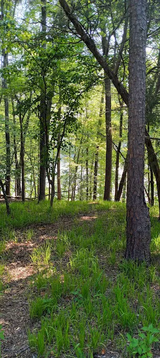 Morrow Mountain Group Camp 2