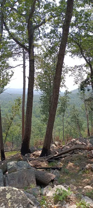 Morrow Mountain Group Camp 6
