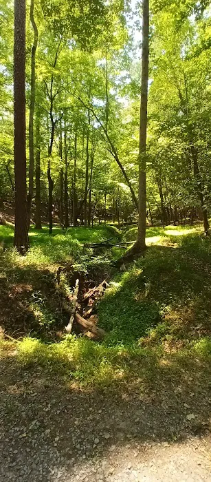 Morrow Mountain Group Camp 7