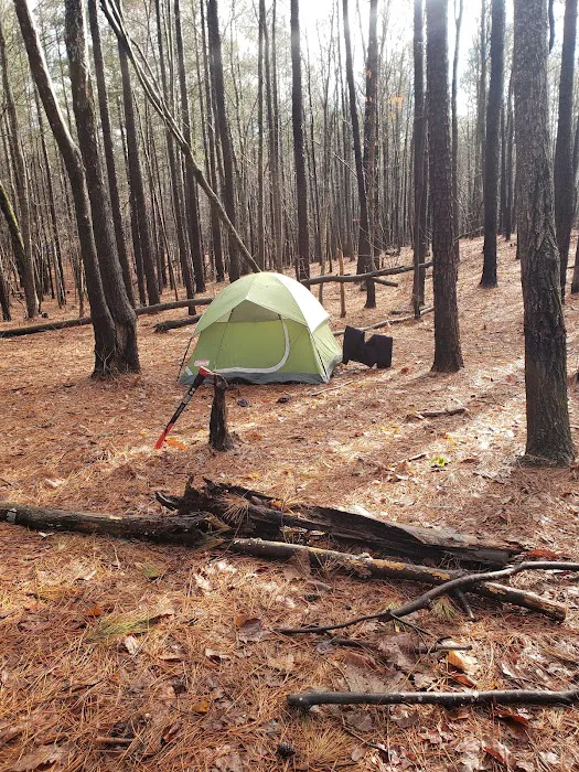 Yates Place Campground 2