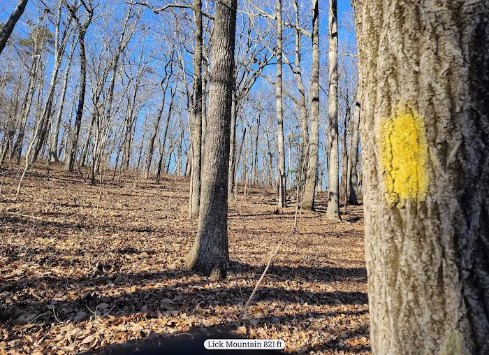 Yates Place Campground 6