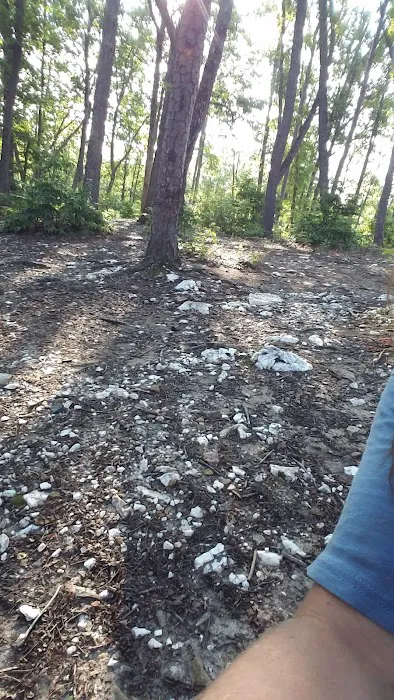 Deep Water Trail Camp 7