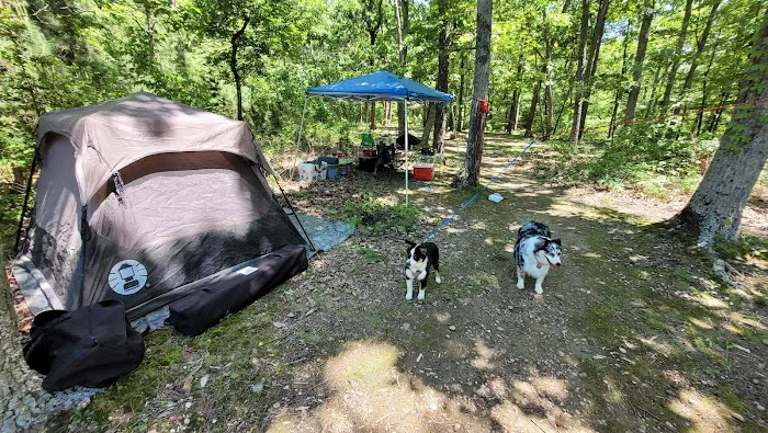 Art Lilley Campground 9