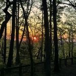 Blacksheep Jeep Camp