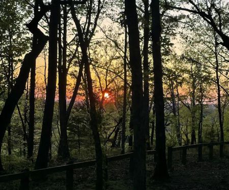 Blacksheep Jeep Camp