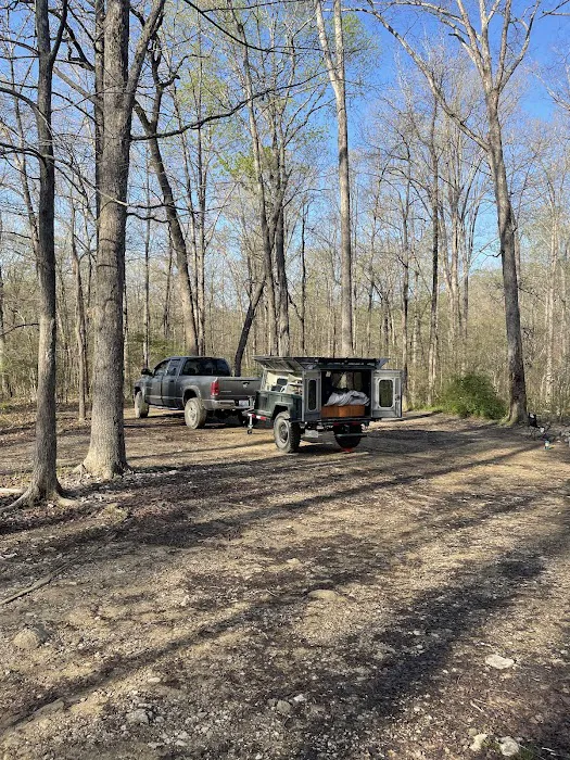 Uwharrie National Forest Hunt Camp Campgrounds 3