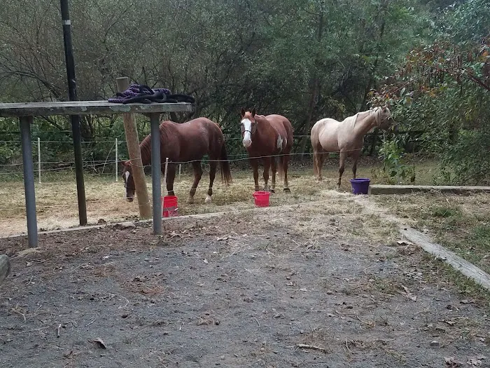Canebrake Horse Camp 3