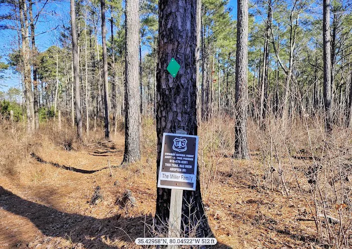 Canebrake Horse Camp 5