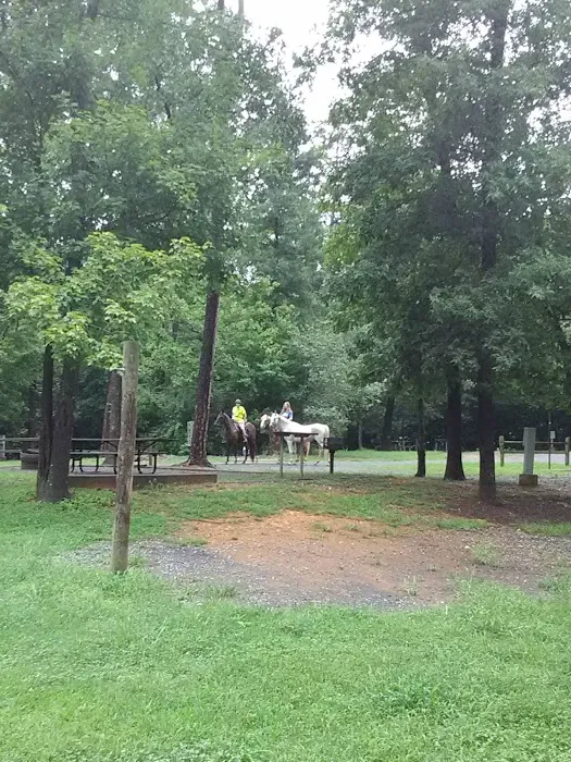 Canebrake Horse Camp 8
