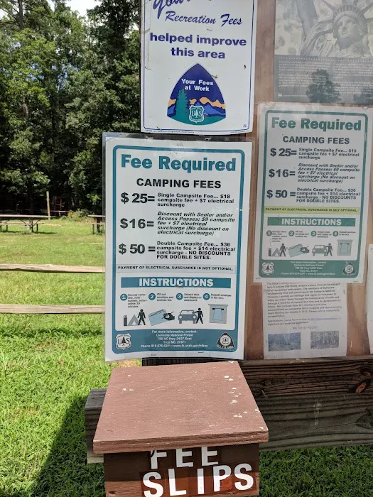 Canebrake Horse Camp 9