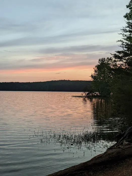 Badin Lake Campground Upper Loop 2
