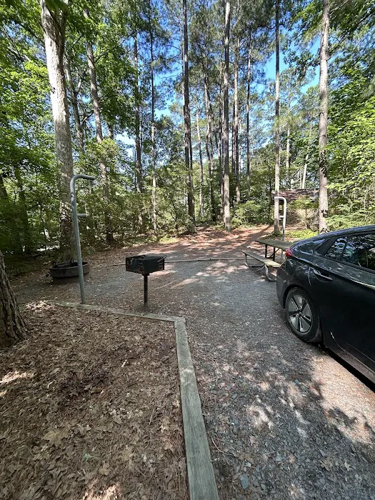 Badin Lake Campground Upper Loop 3