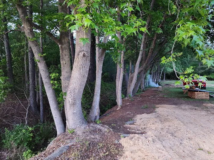 LumberJack RV Park 6