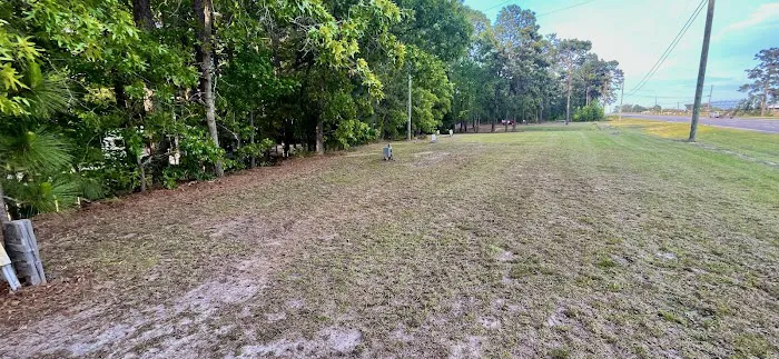 Racetrack Campground 5