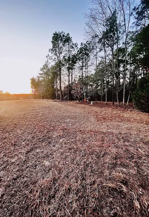 Racetrack Campground 6