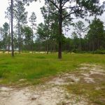 Sandhills campground b