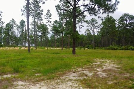 Sandhills campground b
