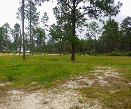Sandhills campground b