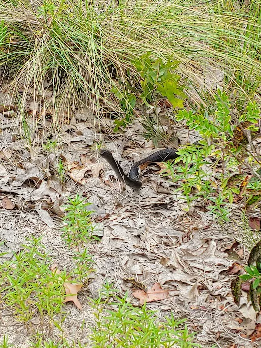 Sandhills campground b 5