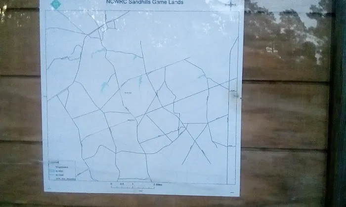 Sandhills campground b 7