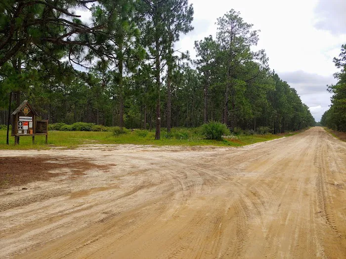 Sandhills campground b 8