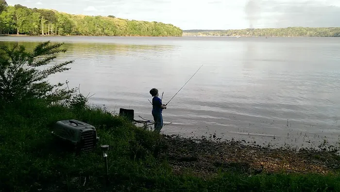 TVA Phillips Hill Campground 5