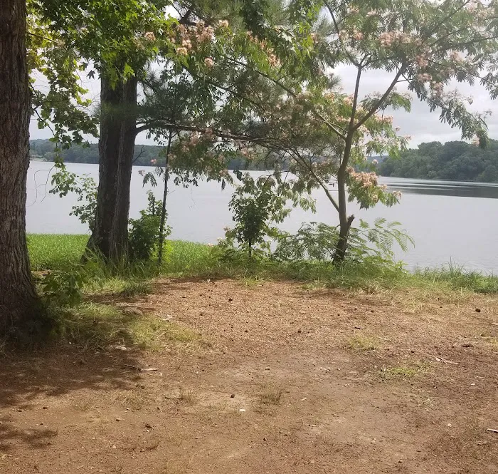 TVA Phillips Hill Campground 3