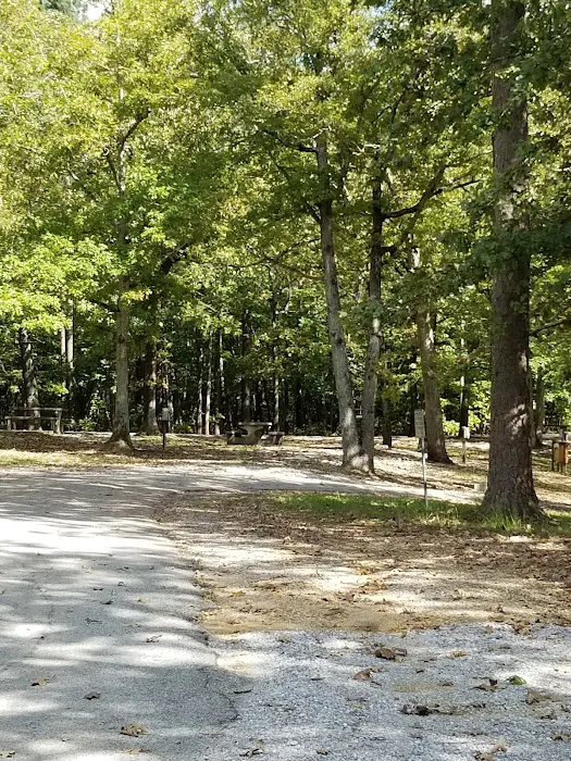 Colbert County Rose Trail Park 4