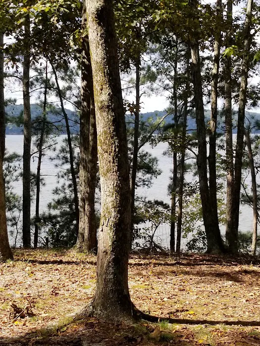 Colbert County Rose Trail Park 6