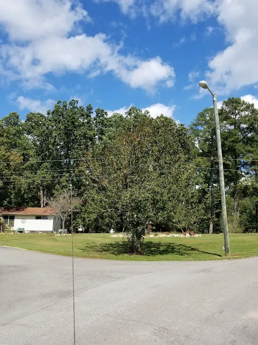 Colbert County Rose Trail Park 10