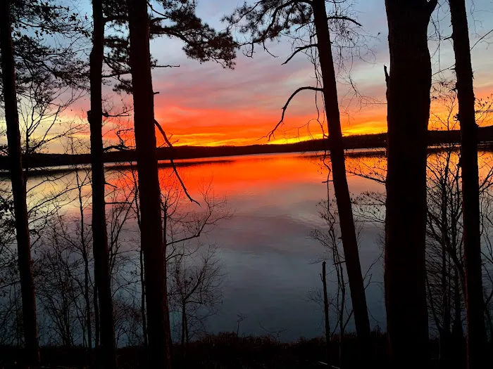 Cypress Shores Campground and rv park llc 8