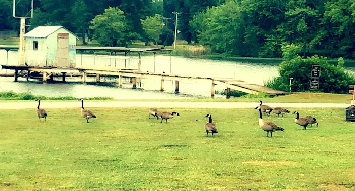 Hart's RV Park & Campground 7