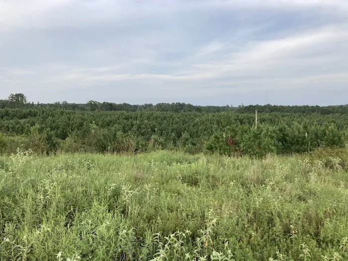 Elvis Presley Lake & Campground 5