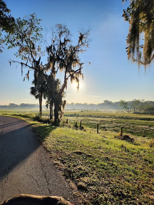 Sanlan RV & Golf Resort, Inc. 5