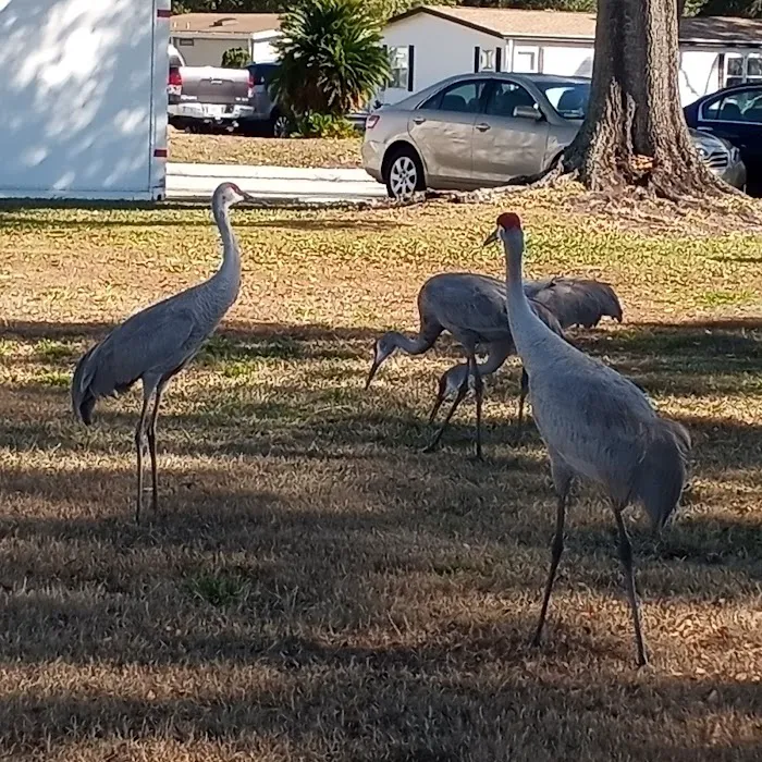 Lakeland Harbor 6