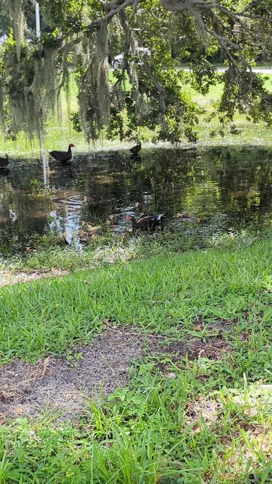 Lakeside Hills Estates 5