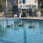 Lakeside Hills Estates