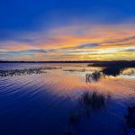 Fountainview Estates Inc