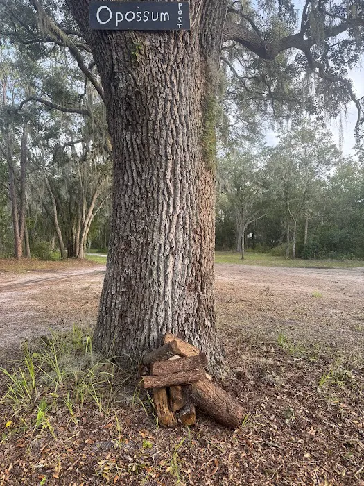 Myrtle Oaks Campground 2