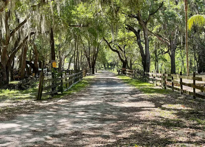 Myrtle Oaks Campground 3