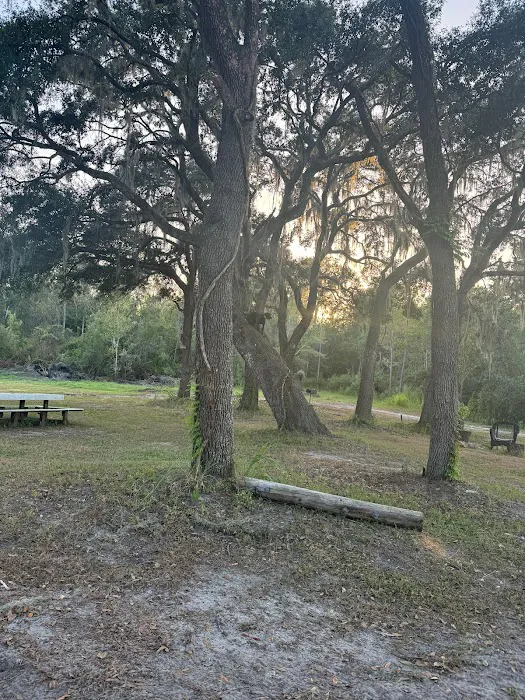 Myrtle Oaks Campground 8