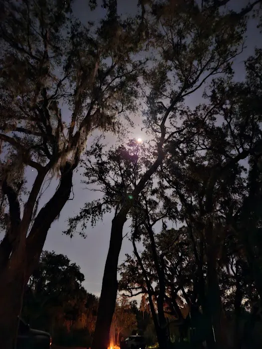 Myrtle Oaks Campground 9