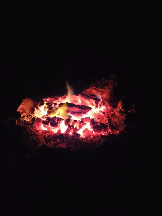 Myrtle Oaks Campground 10