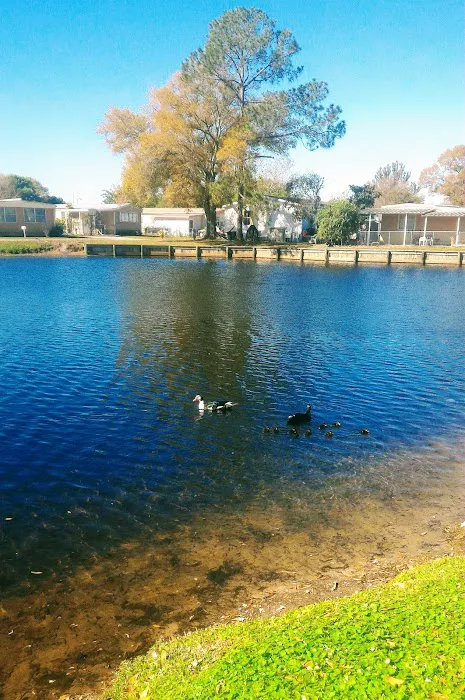Three Lakes Community 5