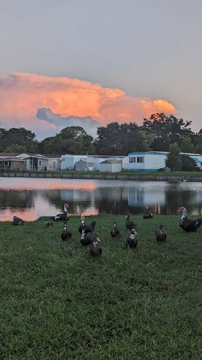Three Lakes Community 4