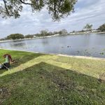 Glenwood Estates Inc