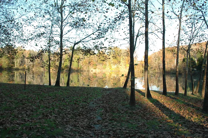 Soaring Eagle Campground 5
