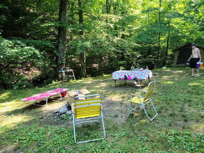 Soaring Eagle Campground 10