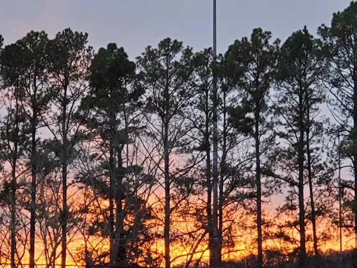 Four Seasons Campground 8