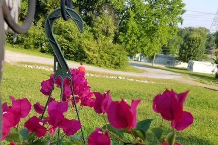 Allendale Mobile Home Park